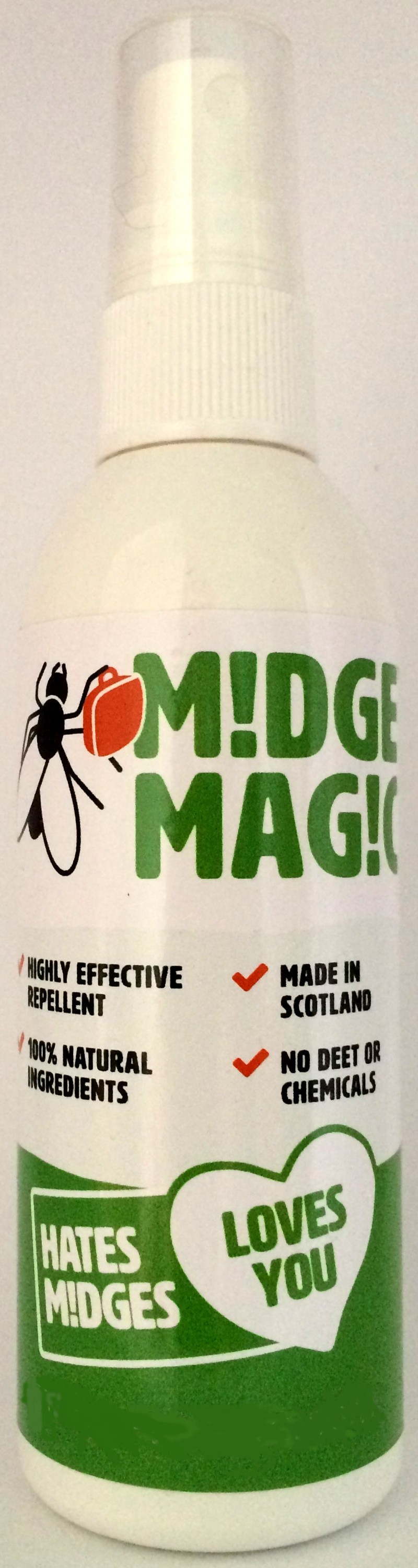 Bog Myrtle, a herb native to Scotland and elsewhere in Northern Europe.